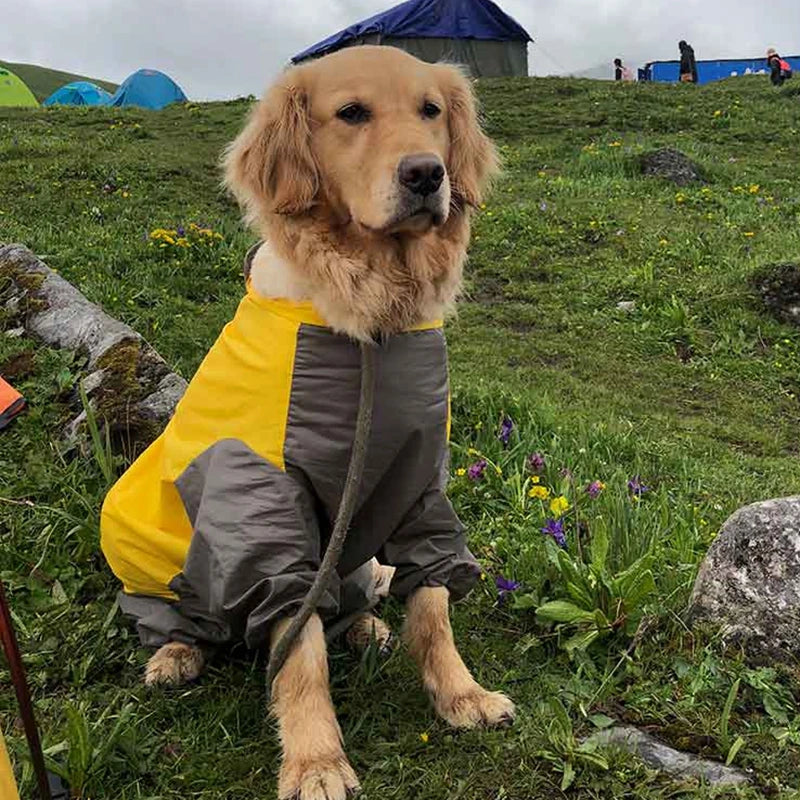 Pawsome Splash Shield Raincoat