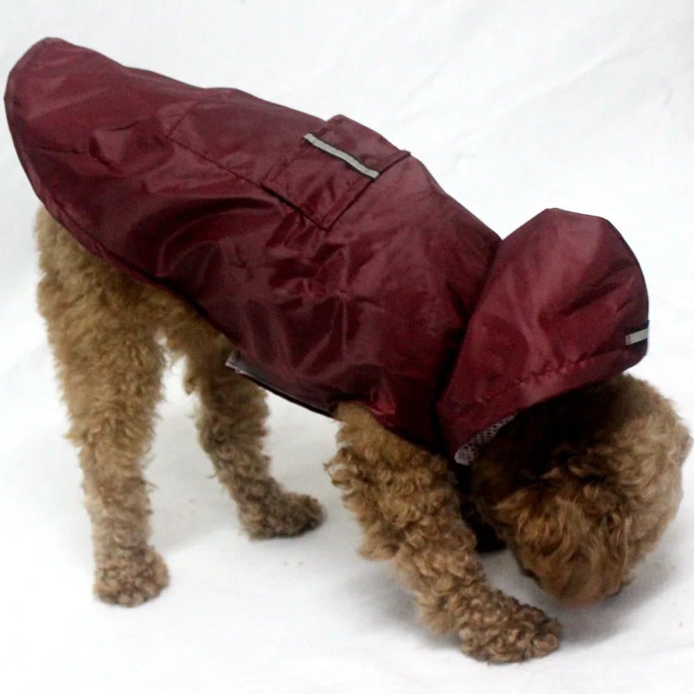 Puddle-Proof Pup Raincoat