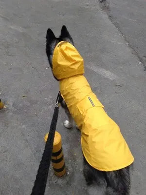 Puddle-Proof Pup Raincoat