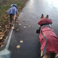 Puddle-Proof Pup Raincoat