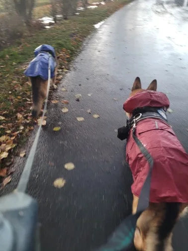 Puddle-Proof Pup Raincoat