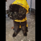 Puddle-Proof Pup Raincoat