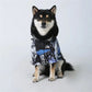 PawsProtect Waterproof Dog Raincoat