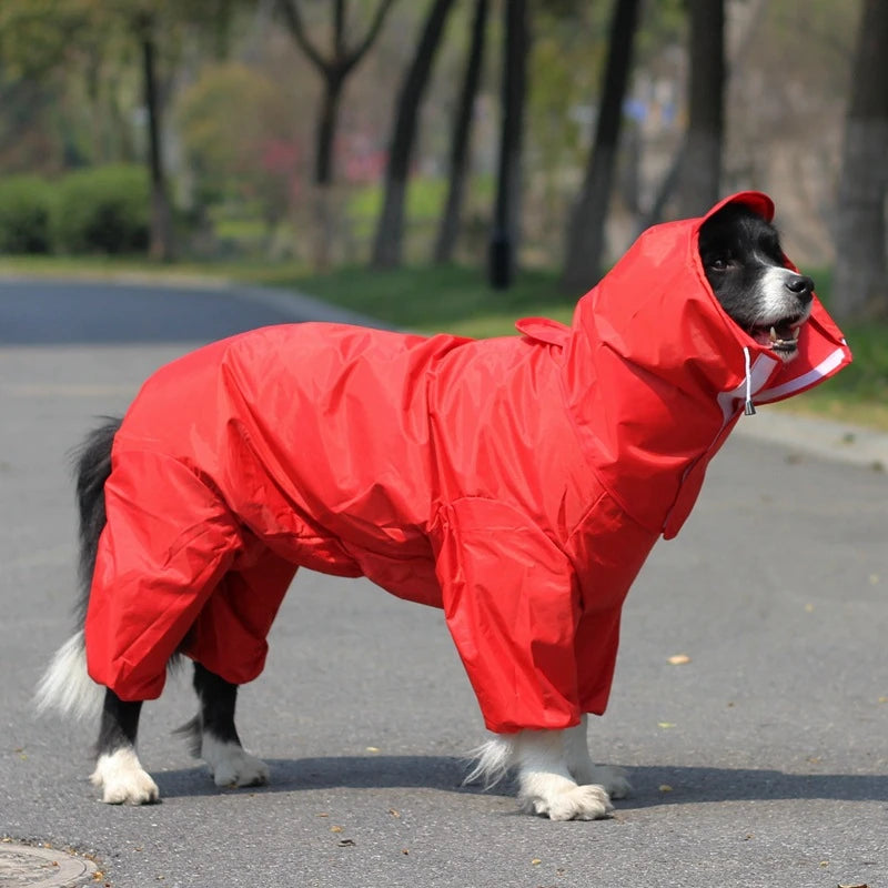 Pawsome Splash Shield Raincoat