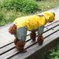 Pawsome Splash Shield Raincoat