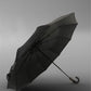 Luxury British Umbrella