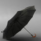 Luxury British Umbrella