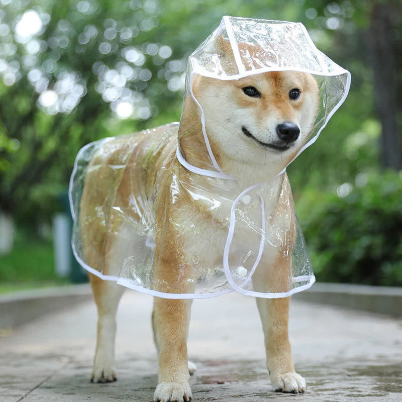 PawProof Puppy Raincoat Poncho