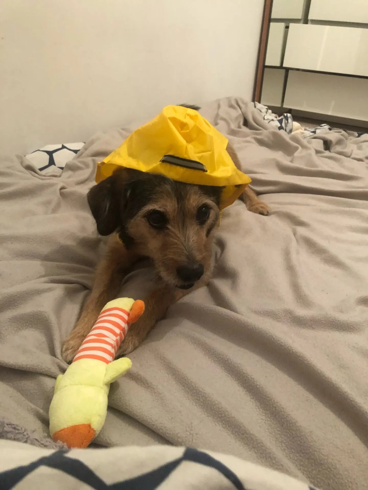 Puddle-Proof Pup Raincoat