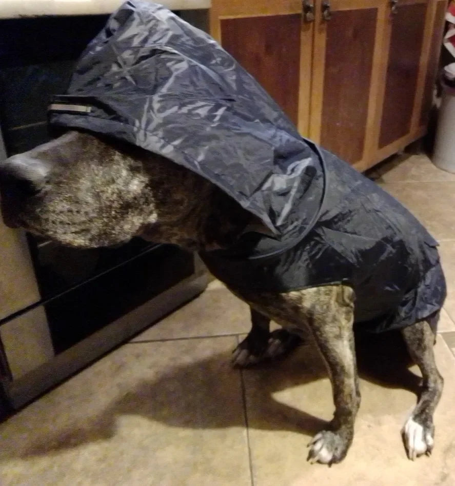 Puddle-Proof Pup Raincoat