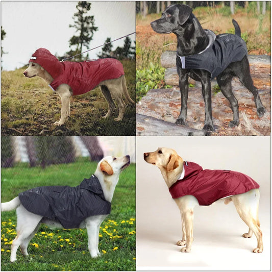 Puddle-Proof Pup Raincoat