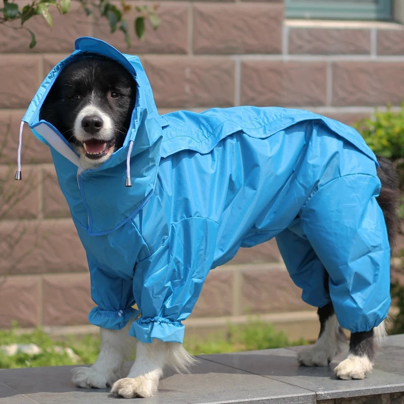 Pawsome Splash Shield Raincoat