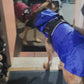 Puddle-Proof Pup Raincoat