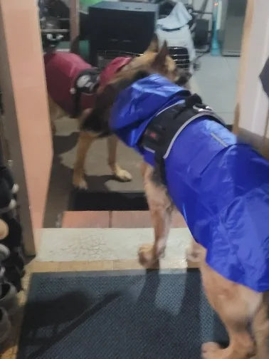 Puddle-Proof Pup Raincoat